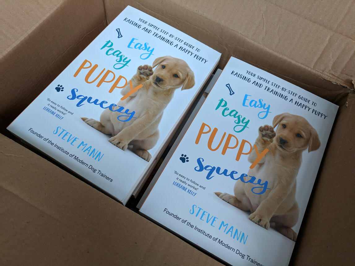 puppy-power-week-baildon One week intensive puppy training programme in Baildon – five mornings of reward-based learning