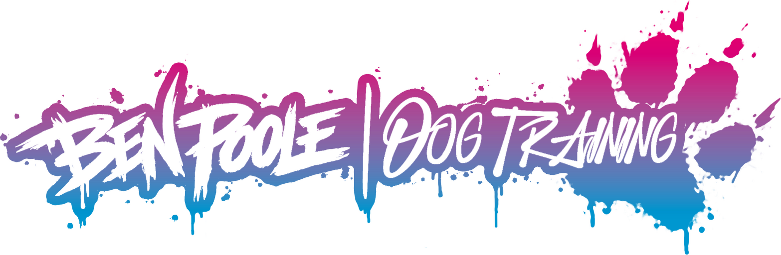 Ben Poole Dog Training